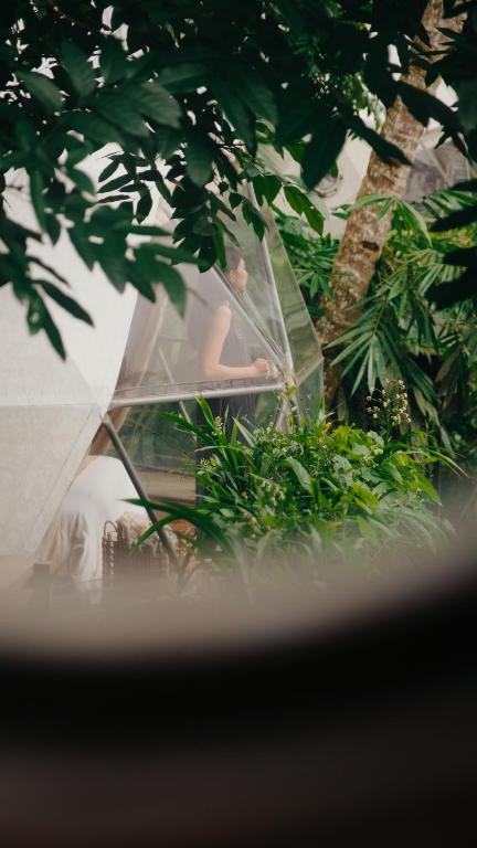 Zahrada ubytování Lintang Luku Tent Resort Ijen, Banyuwangi
