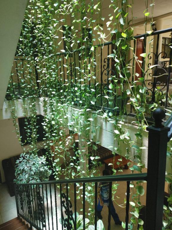 Fotografie z fotogalerie ubytování Hotel Tradicional Savaro SA de CV v destinaci Zihuatanejo