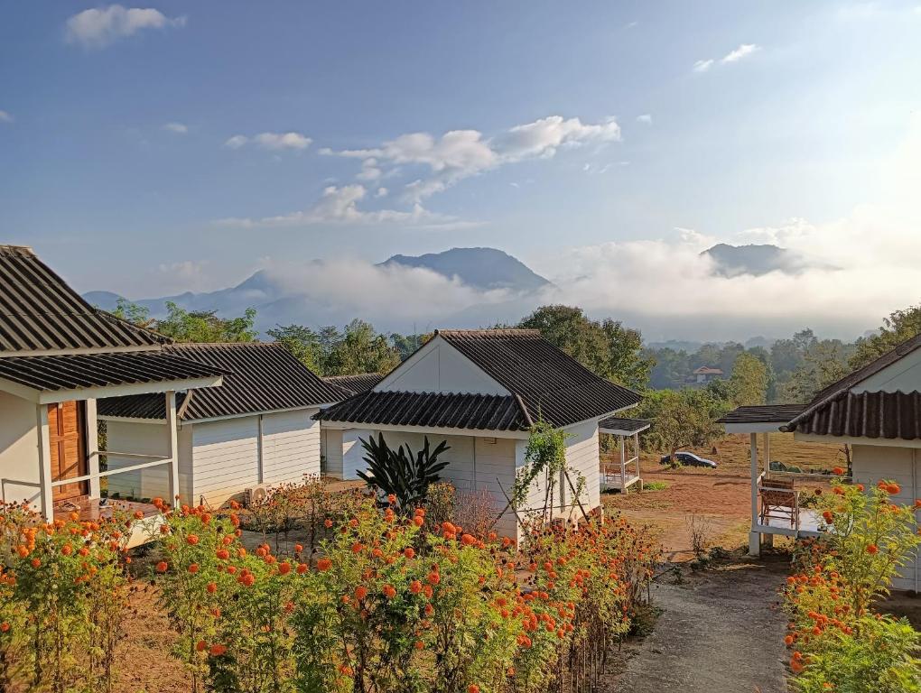 a row of houses in a field of flowers at Pai sunrise camping resort in Pai