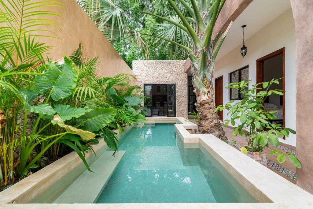 an indoor pool in a house with plants at Casa Ámbar, tu casa en Mérida in Mérida