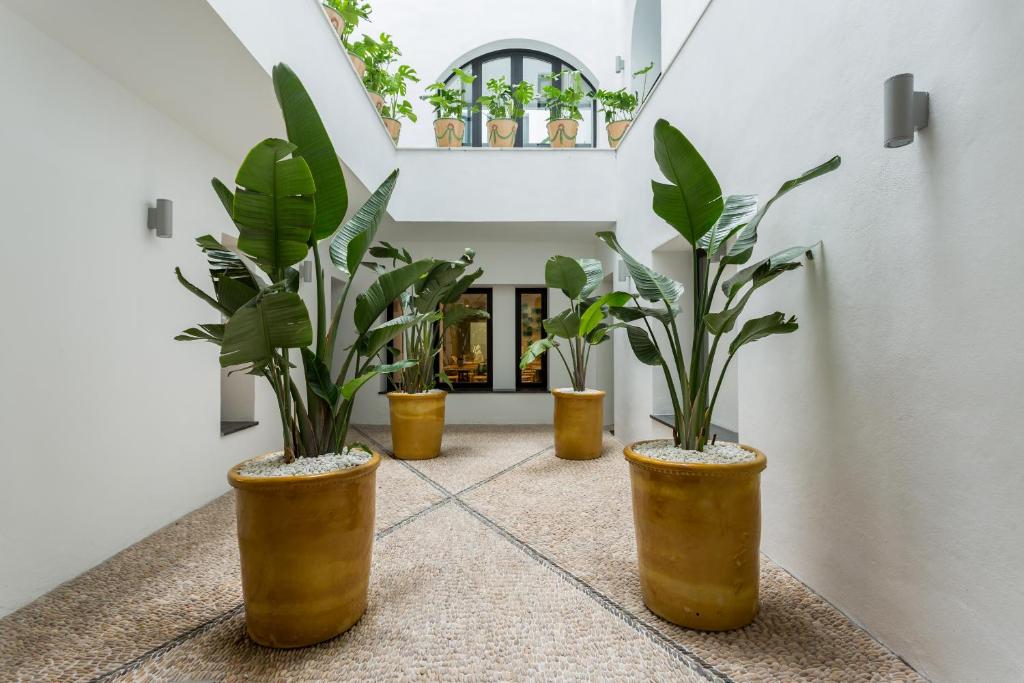 Room Mate Collection Valeria, Málaga - Resim 36