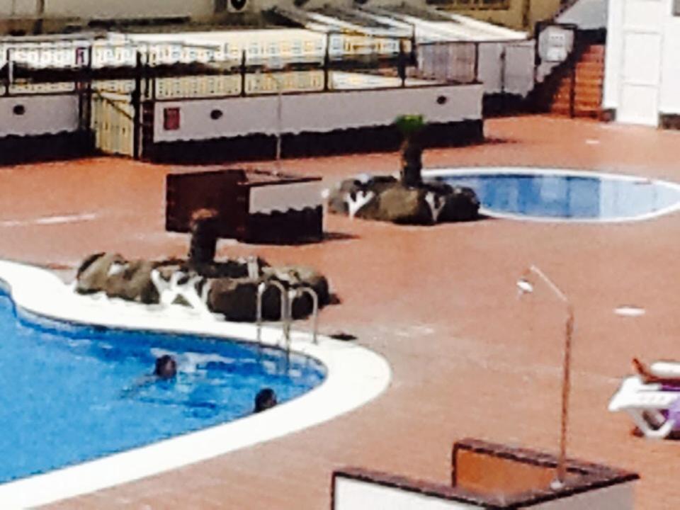 Bazén v ubytování Penthouse El Mirador Los Cristianos Tenerife - VV nebo v jeho okolí