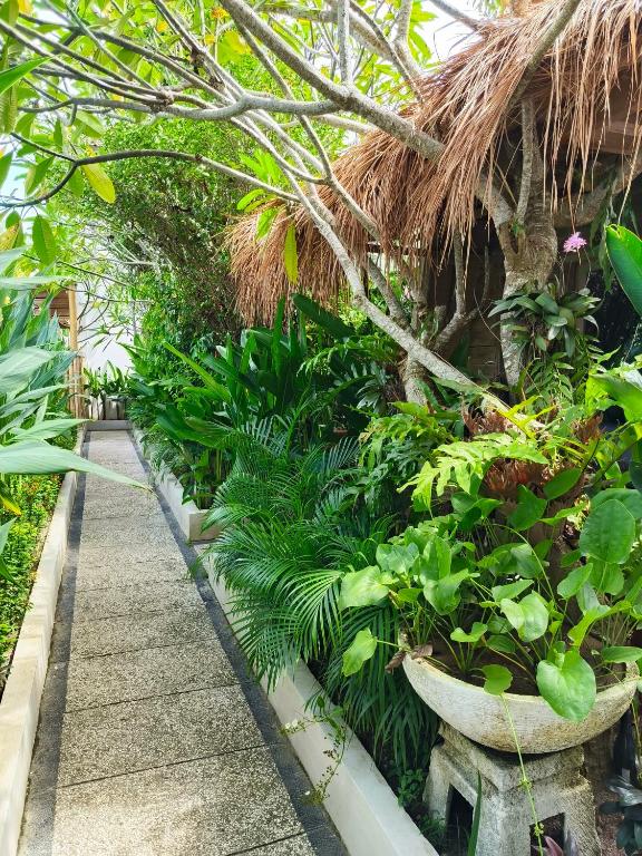 Lavella Villas Kuta Lombok - 7