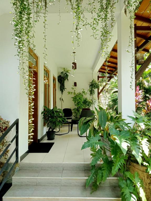Zahrada ubytování Kithmi Resort