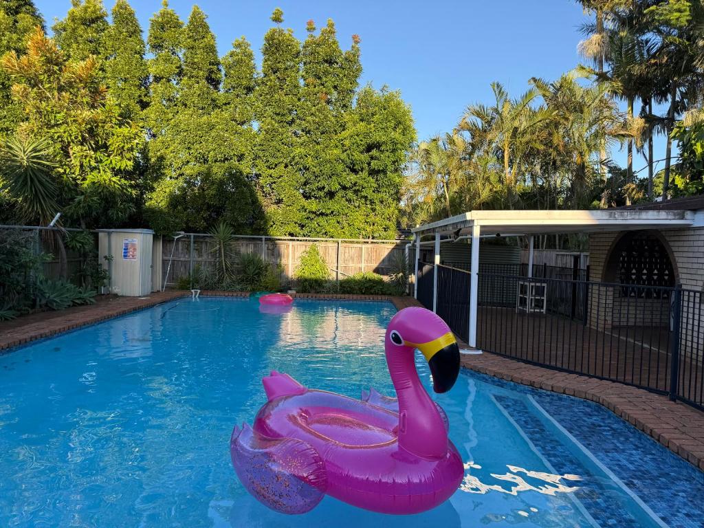 a pink swan float in a swimming pool at 4BR big family house with huge pool in Brisbane
