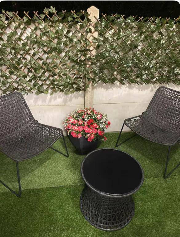 deux chaises, une table et une plante en pot dans l'établissement Ma chambre côté Bassin, à Audenge