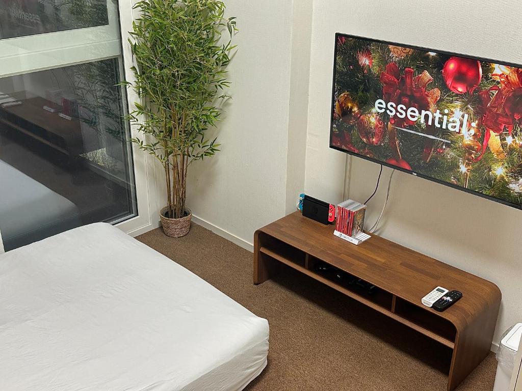 TV a/nebo společenská místnost v ubytování Grape Residence Hotel