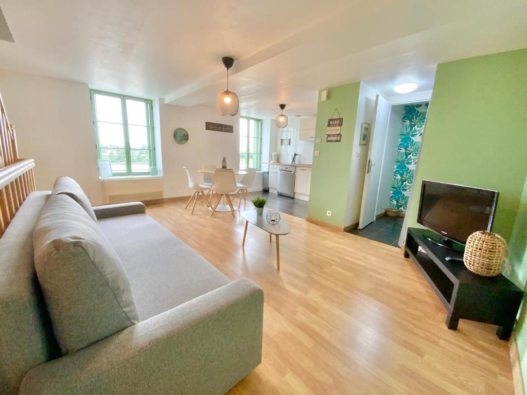 TV a/nebo společenská místnost v ubytování LA VUE LOIRE Appartement
