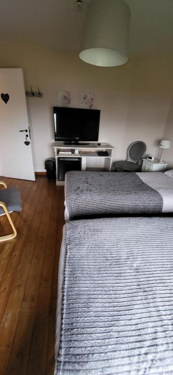 TV a/nebo společenská místnost v ubytování Chambres Esprit Campagne
