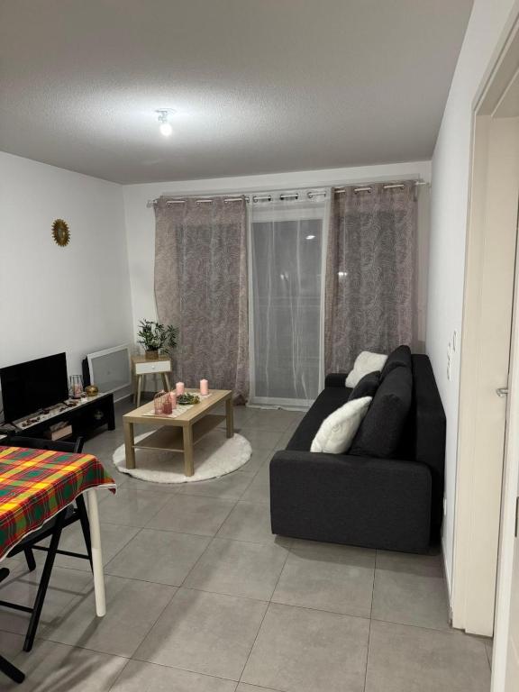 un salon avec un canapé noir et une table dans l'établissement Beau T2 Arlesien, à Arles