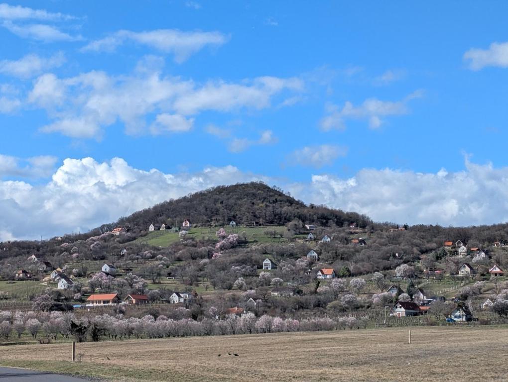 Widok na góry z tego apartamentu