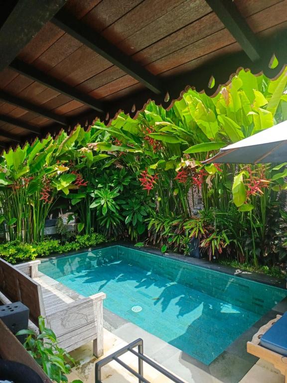 a swimming pool in a garden with plants at Villa Ssweta 2 in Canggu