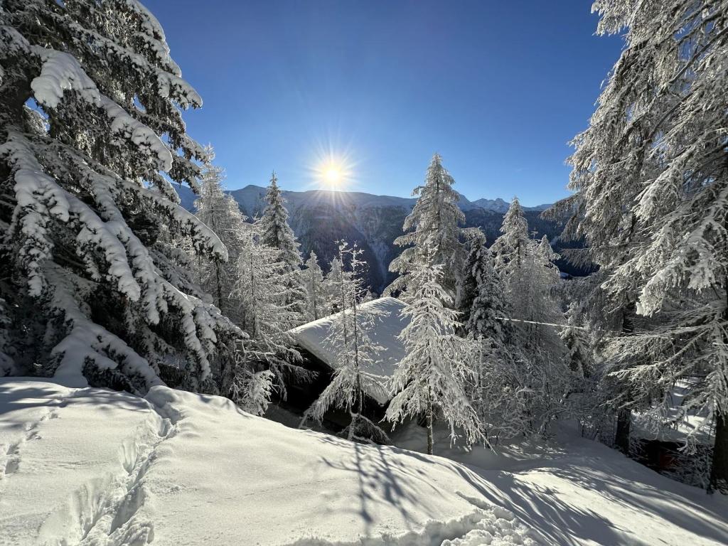 a snow covered forest with trees with the sun in the background at Chalet Chalet Soldanella - BEL205 by Interhome in Bellwald