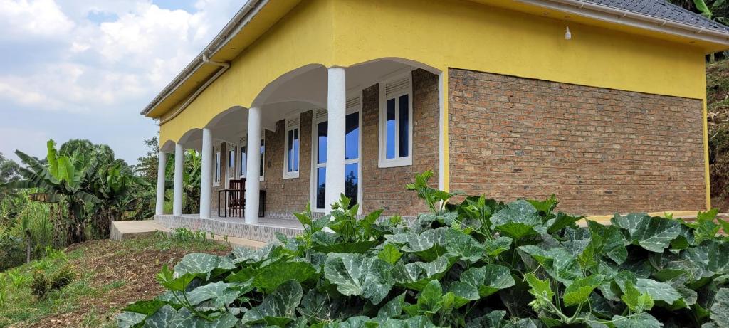 Vrt ispred objekta Kamengo Cottages