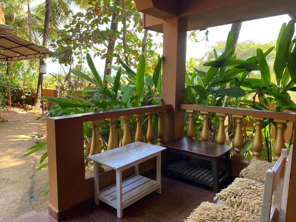 Um jardim no exterior de Anjuna Hideout