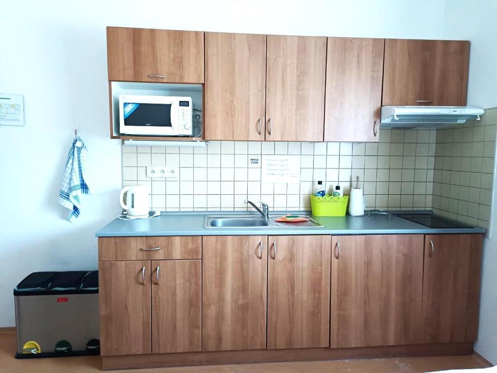 Kuchnia lub aneks kuchenny w obiekcie Penzion Ječmínek