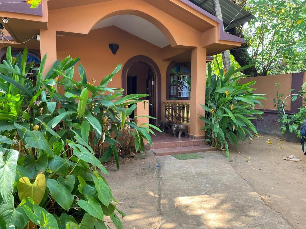 Um jardim no exterior de Anjuna Hideout