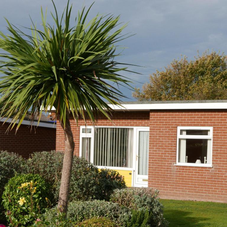 a palm tree in front of a brick house at 35 Siesta Mar in Mundesley