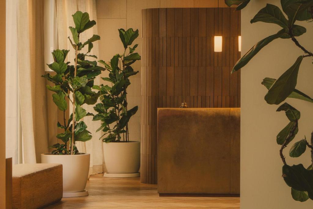 Hotel Regina Barcelona - Resim 7