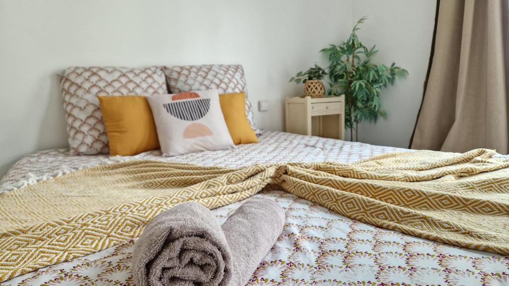 - une chambre avec un lit doté d'une couverture et d'une plante dans l'établissement Le Cosy Hyper Centre d'Orléans, à Orléans