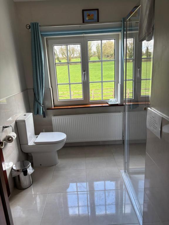 Koupelna v ubytování Ballindrum Farm B&B