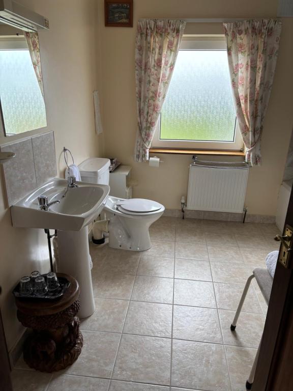 Koupelna v ubytování Ballindrum Farm B&B