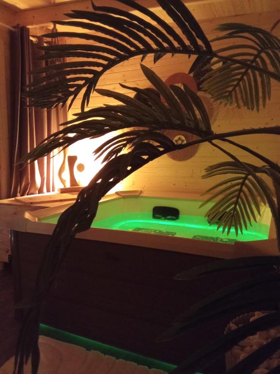 une plante assise à côté d'un feu vert dans l'établissement Suite climatisée jacuzzi privé, à Lachapelle-Auzac