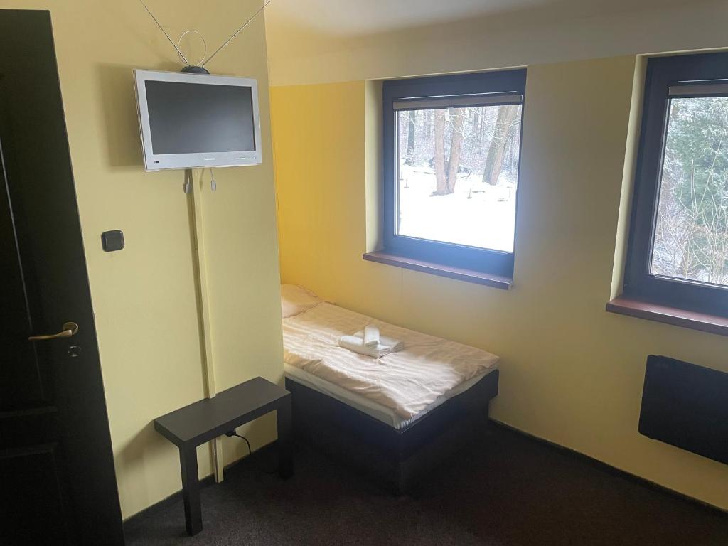TV a/nebo společenská místnost v ubytování Hotel Lovecký zámeček Orion