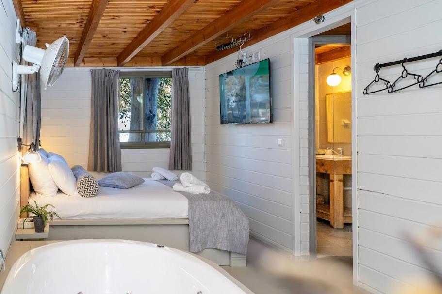 Postel nebo postele na pokoji v ubytování Ein Zivan Village Resort