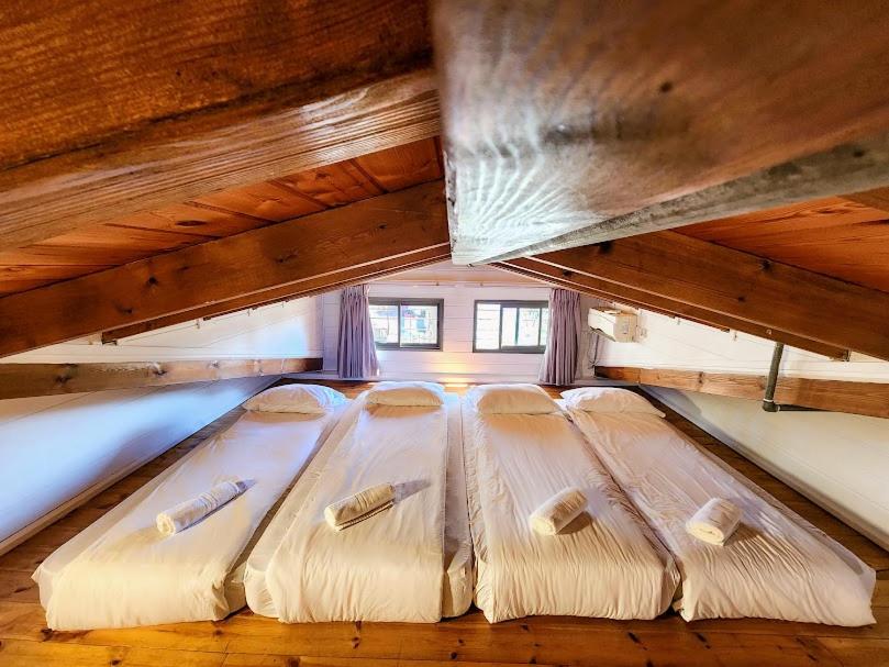 Postel nebo postele na pokoji v ubytování Ein Zivan Village Resort