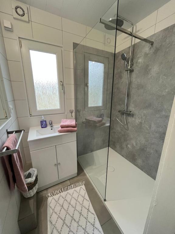 弗朗科尔尚Le Chalet de Marguerite的浴室配有淋浴和洗手池