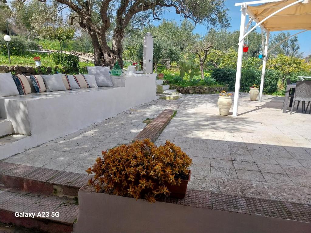Zahrada ubytování " B&B CASALE SICULO " near Syracuse and Etna