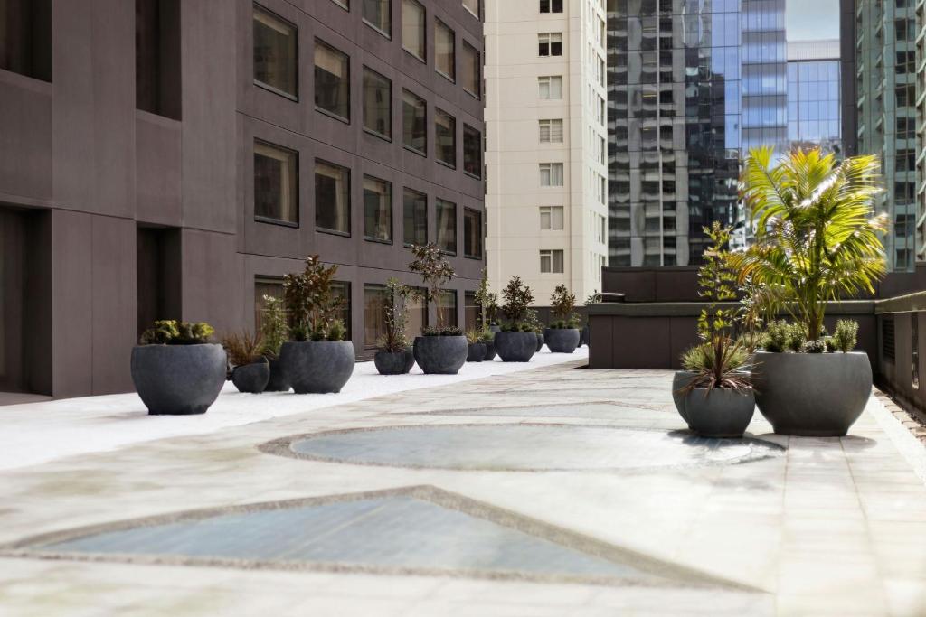 JW Marriott Auckland - Resim 23