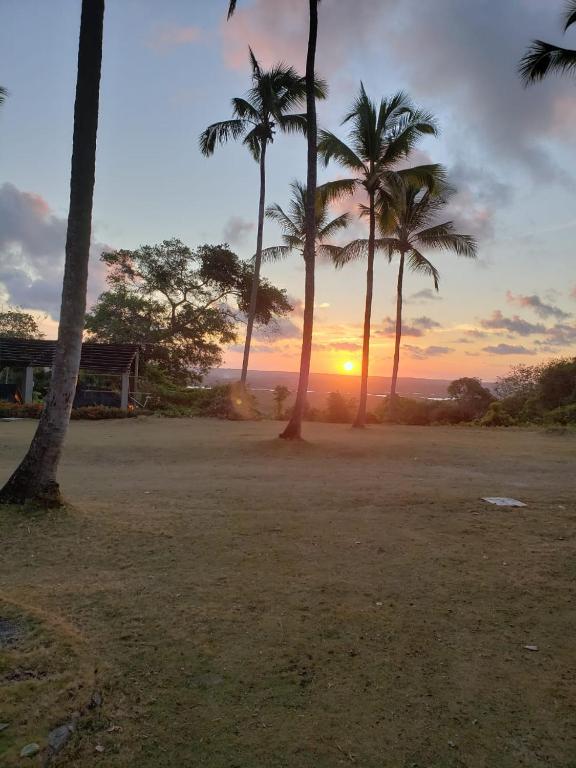 a group of palm trees with the sunset in the background at FAZENDA BOSQUE DAs PALMEIRAS in Itamaracá