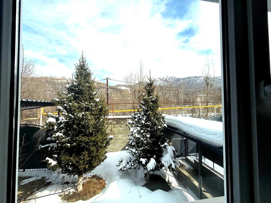 zwei Bäume vor einem Fenster mit Schnee auf ihnen in der Unterkunft Villa chimbulak in Almaty