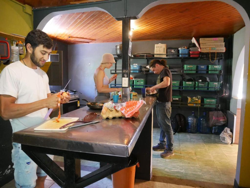 Hosté ubytování CASA KAYAM Art Hostel Coliving Coworking