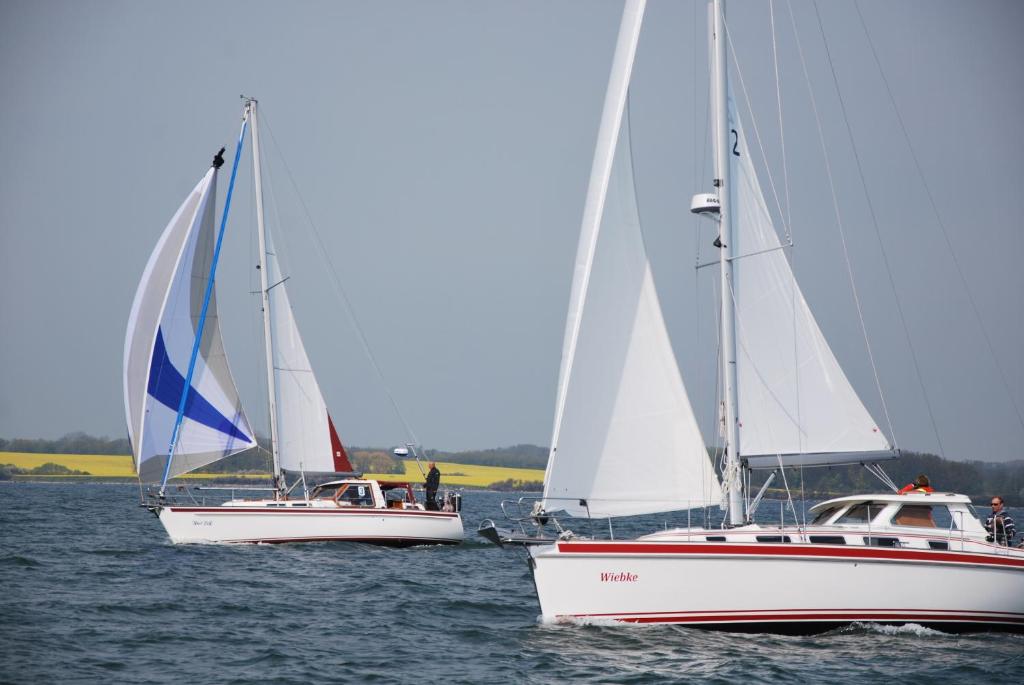 Naturlandskabet i nærheden af lejligheden