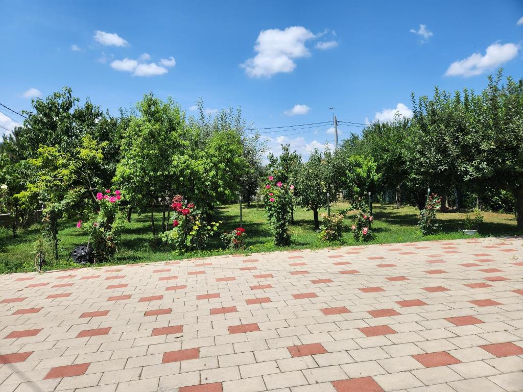 Zahrada ubytování Vila Reghina