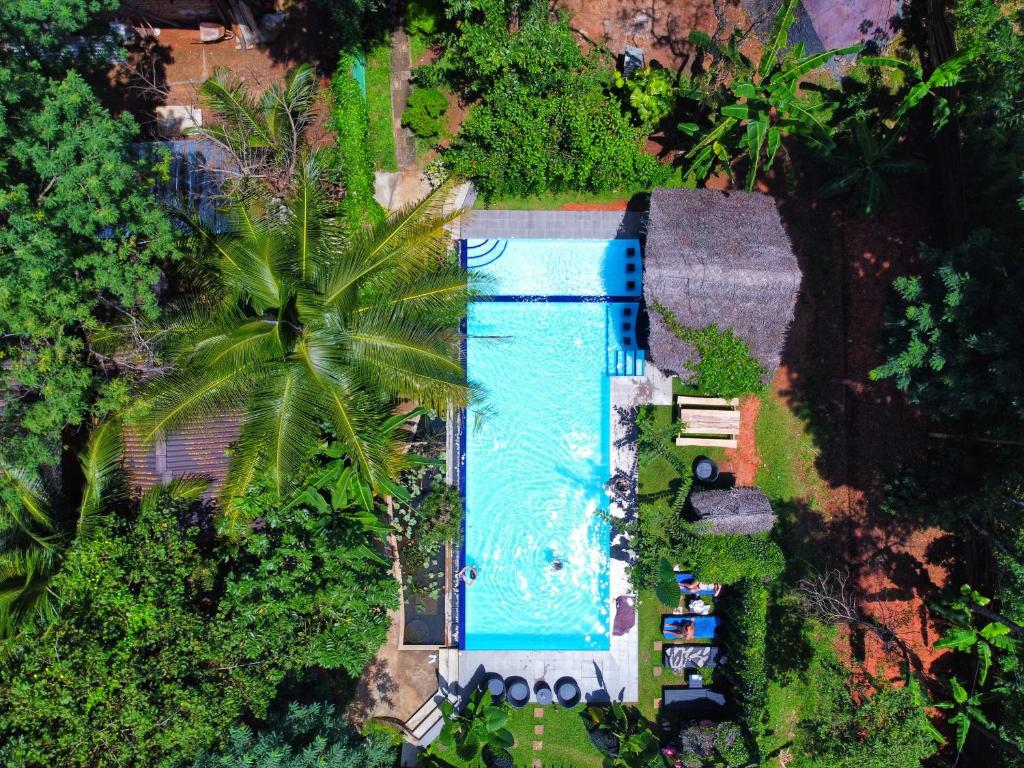 Bazén v ubytování Palmyra Nature Resort Sigiriya nebo v jeho okolí