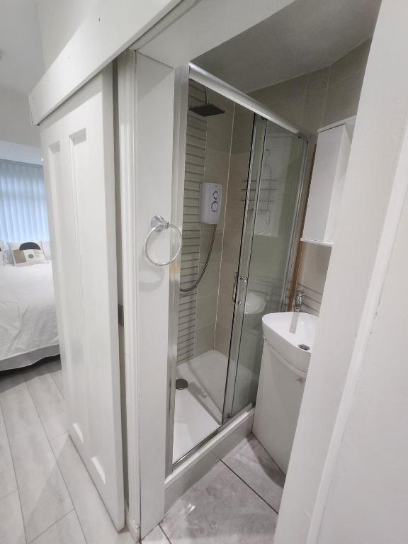 Vannituba majutusasutuses Blue Moon Ensuite