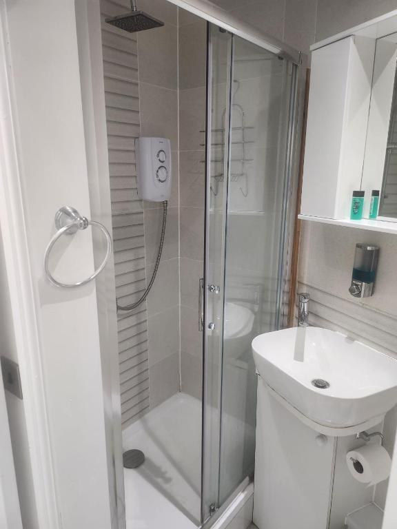 Vannituba majutusasutuses Blue Moon Ensuite