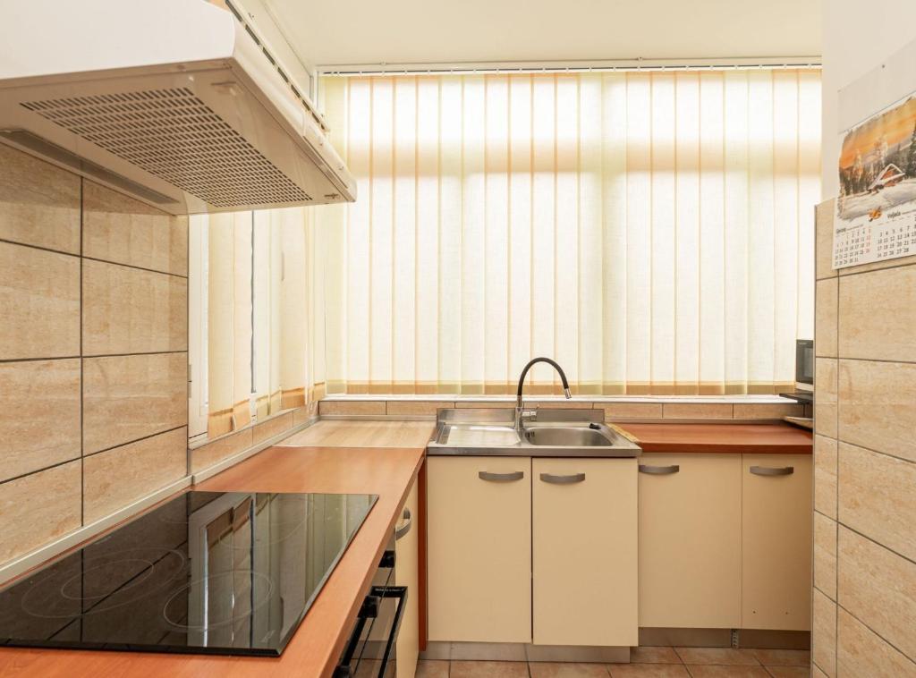 Kuchyňa alebo kuchynka v ubytovaní Apartment Lolo