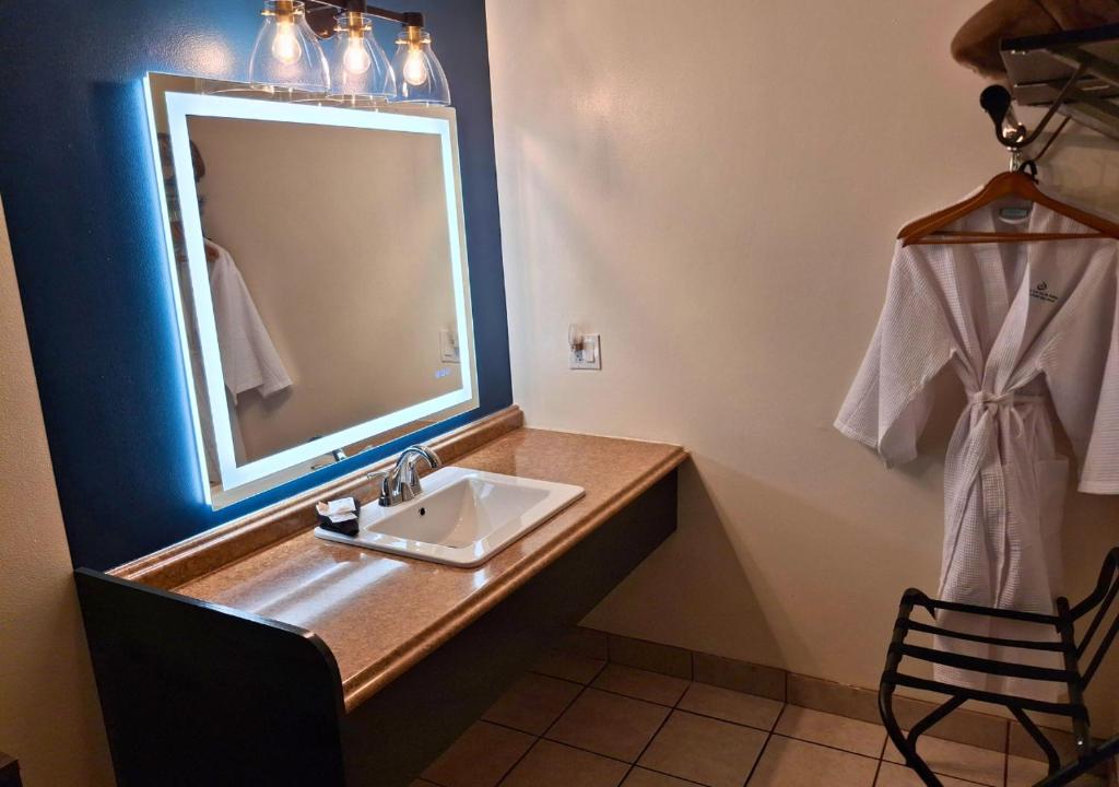 Bagno di Shady Acre Inn and Suites