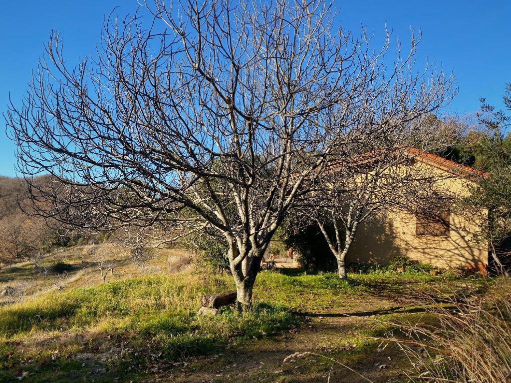 Ảnh trong thư viện ảnh của Vergel San Pedro ở Torremenga