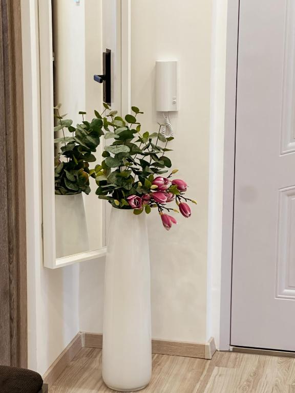 Fotografie z fotogalerie ubytování Palace City Apartman,T13, AC, Klima v destinaci Székesfehérvár