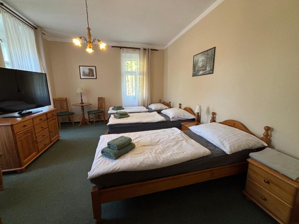 TV a/nebo společenská místnost v ubytování Villa Berolina