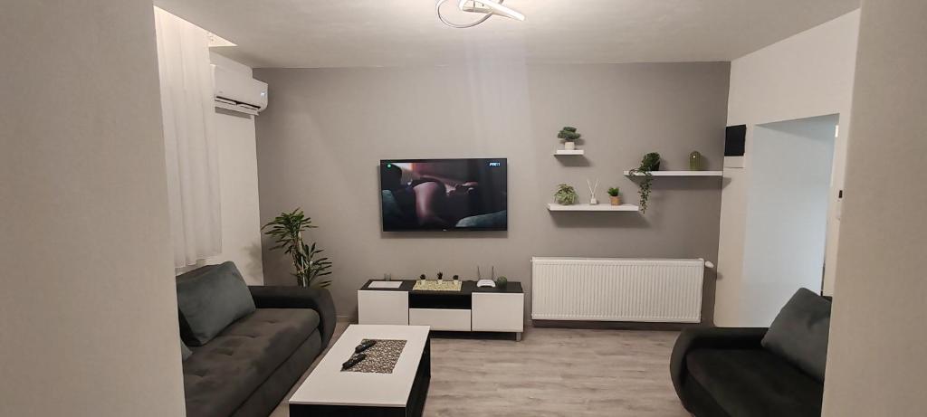 Apartman Stanković - Deluxe One-Bedroom Apartment