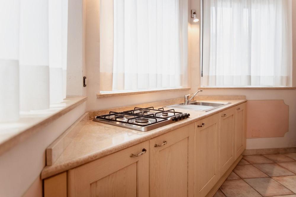 Kuchyň nebo kuchyňský kout v ubytování Hotel Rossi