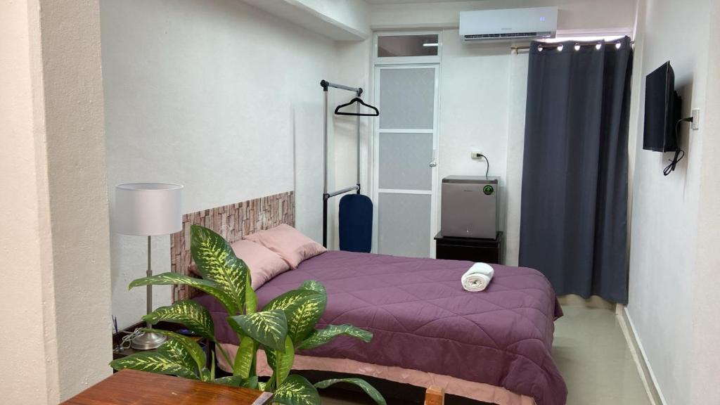 Postel nebo postele na pokoji v ubytování SP Rooms Centro Histórico 1 recámara matrimonial con baño privado