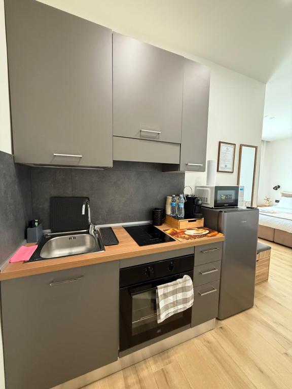 Kuchyň nebo kuchyňský kout v ubytování Bala Dream House
